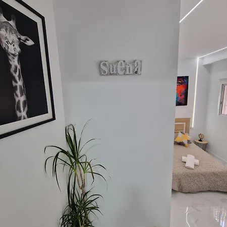 Noiro Centro * 베니돔